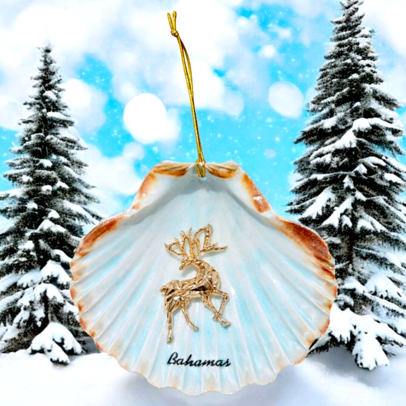 Winter Stag Shell