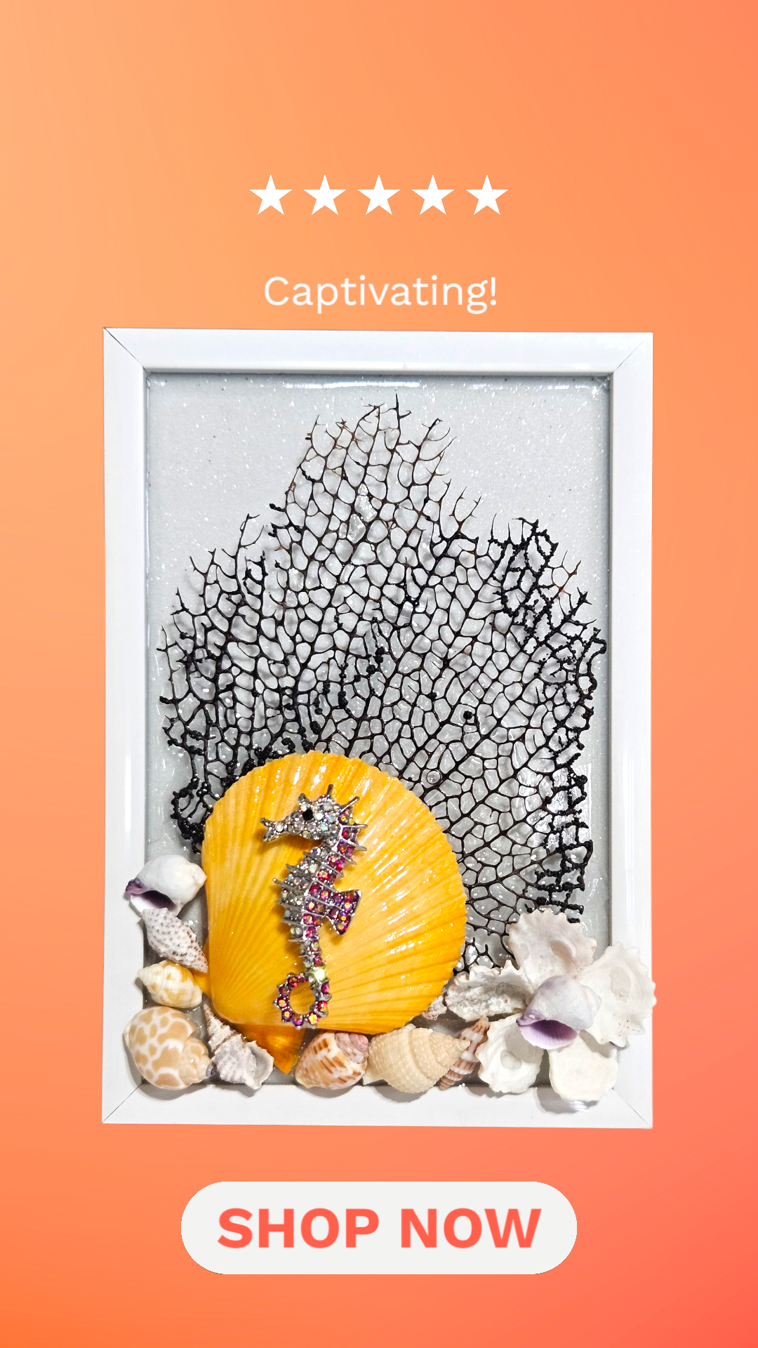 White framed keepsake with black sea fan coral, a golden shell, jeweled seahorse, and surrounding shells.