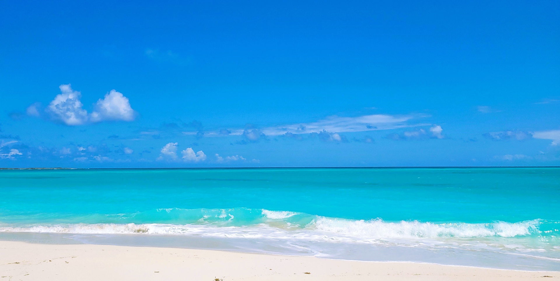 Turquoise Horizon