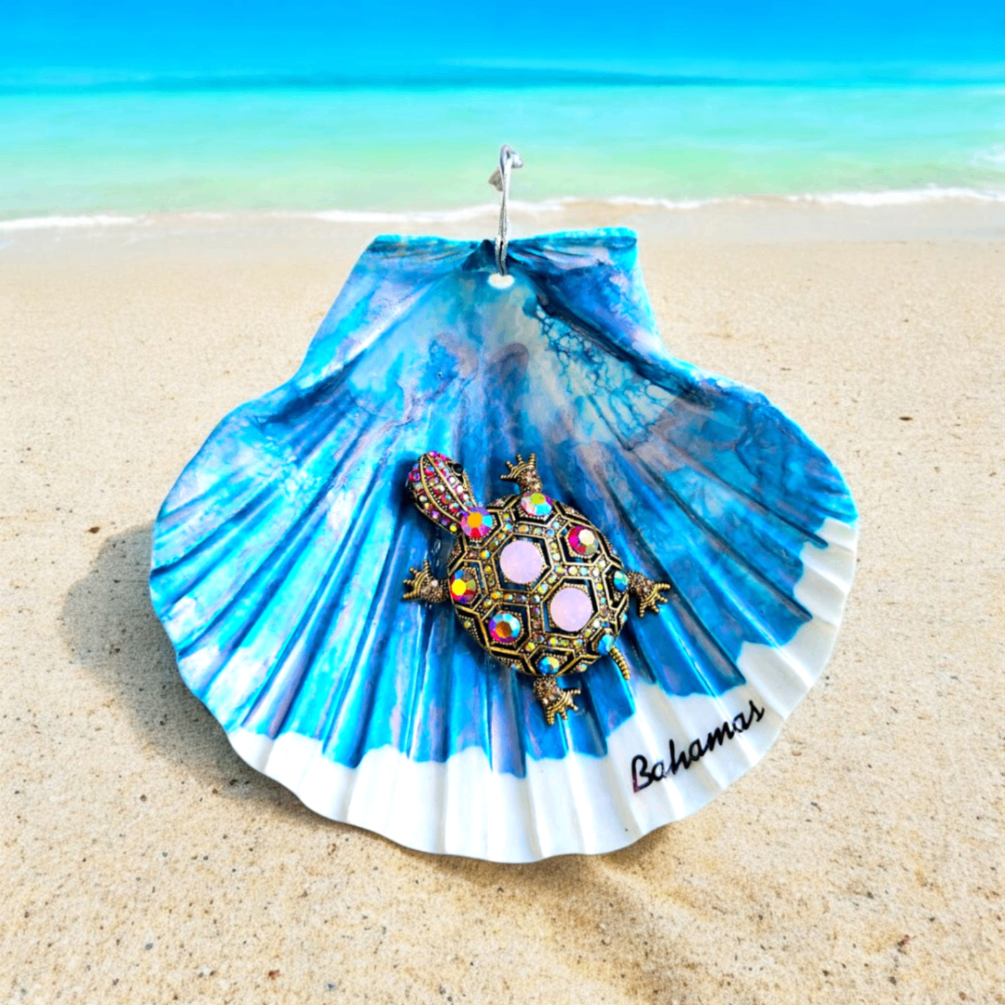 Jeweled Turtle Shore Shell