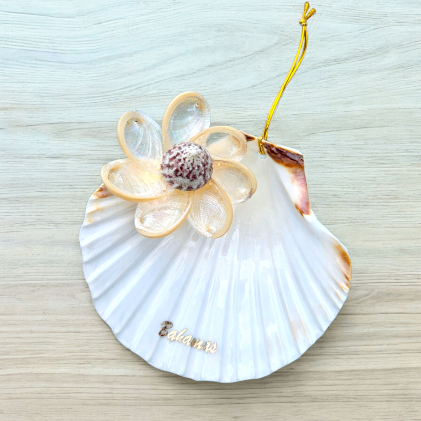 Seashell Blossom Shell
