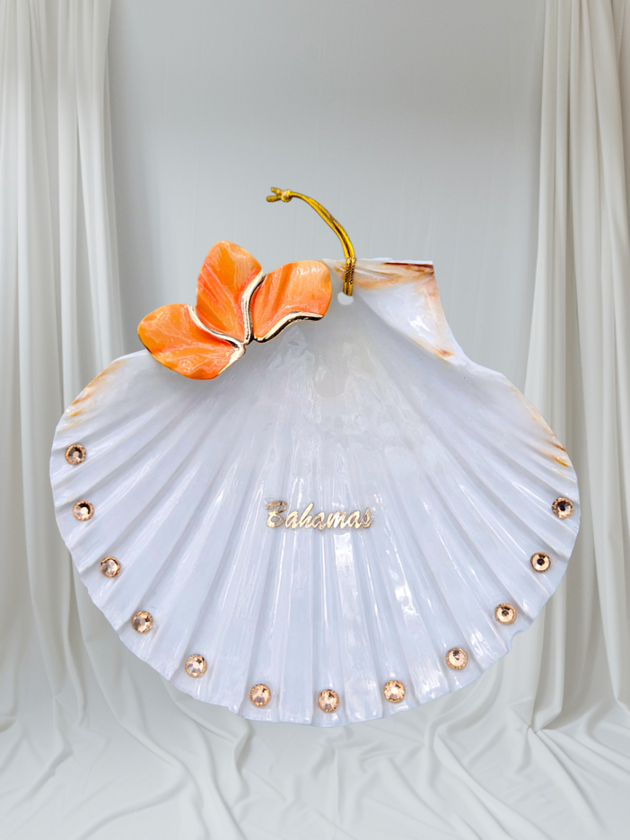 Coral Butterfly Shell