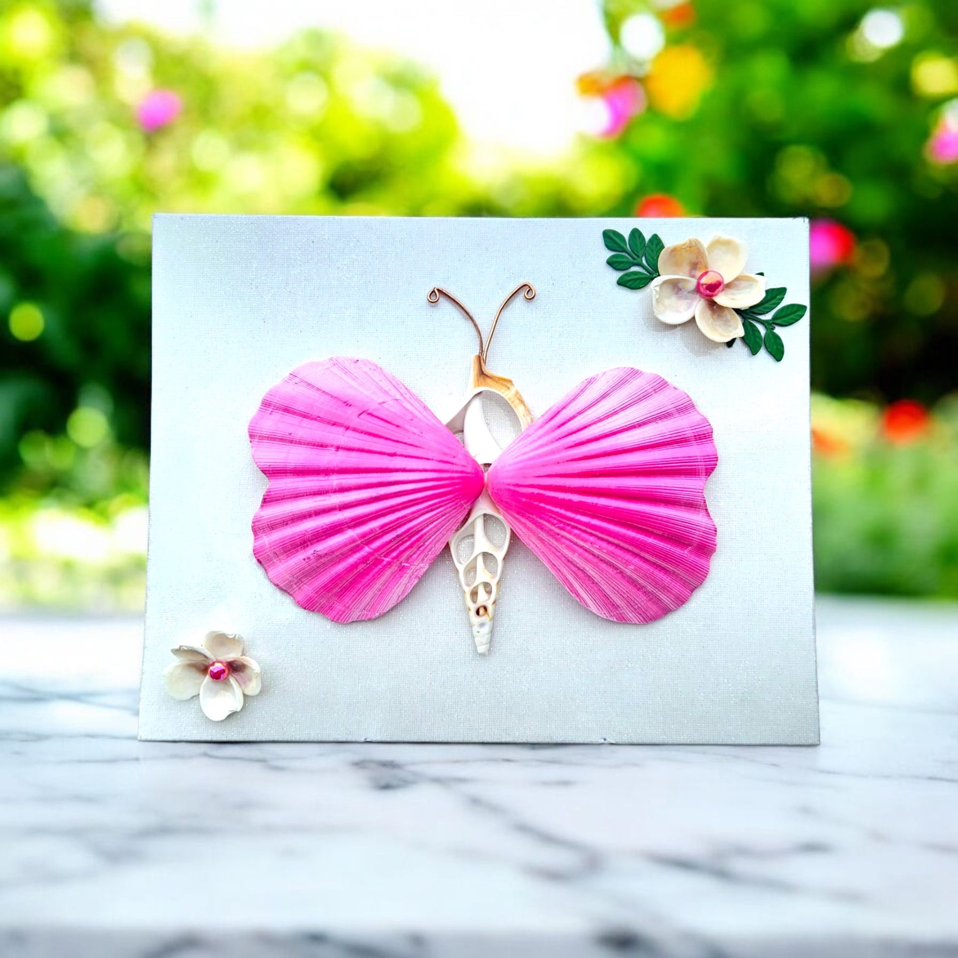 Shell Butterfly