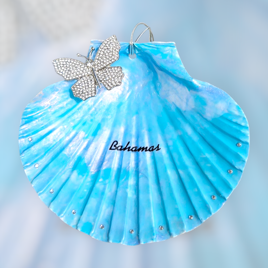 Sea Butterfly Shell