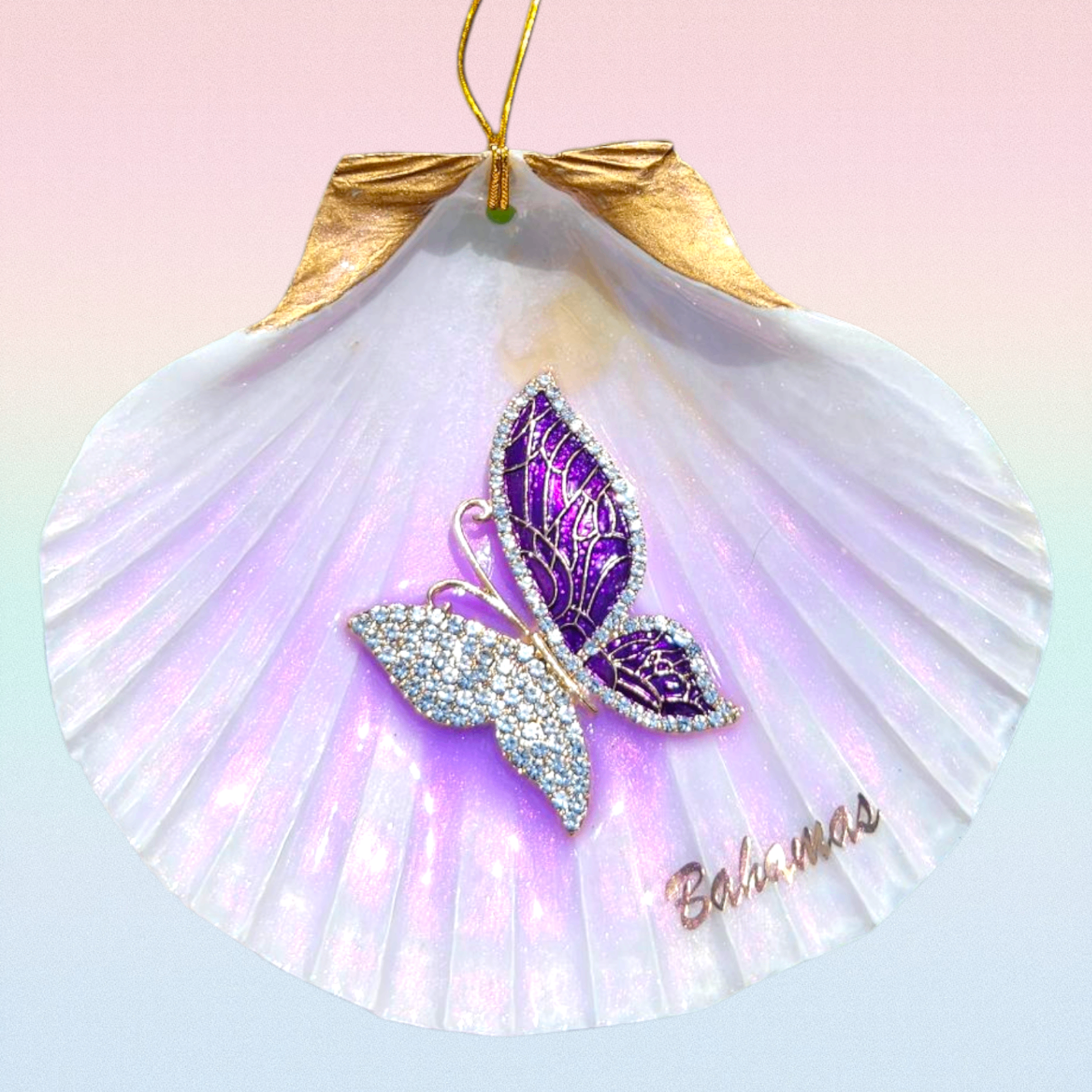 Lilac Butterfly Shell